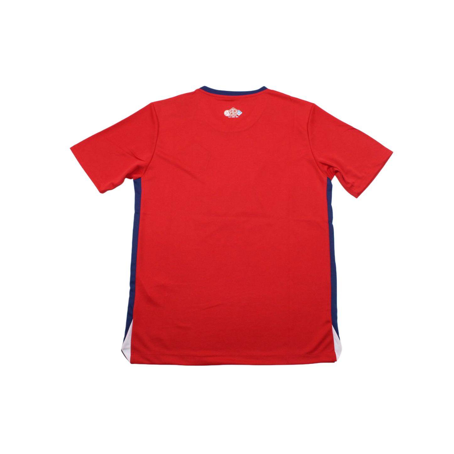 Lille 24/25 Shirt