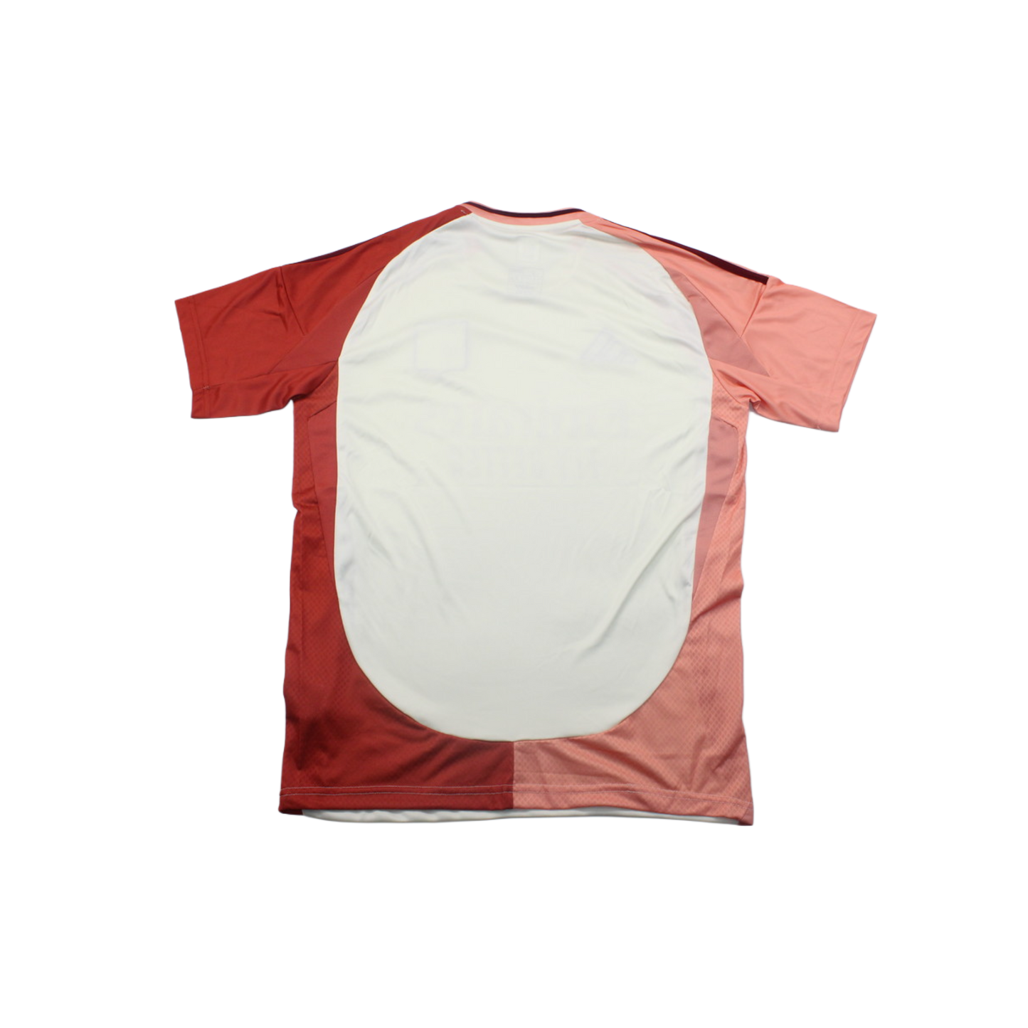 Camiseta Olympique Lyon 24/25