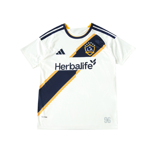 LA Galaxy 26/27 Fan Version