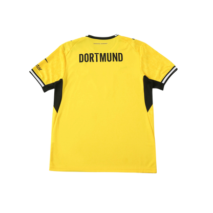 Dortmund 26/27 Fan Version
