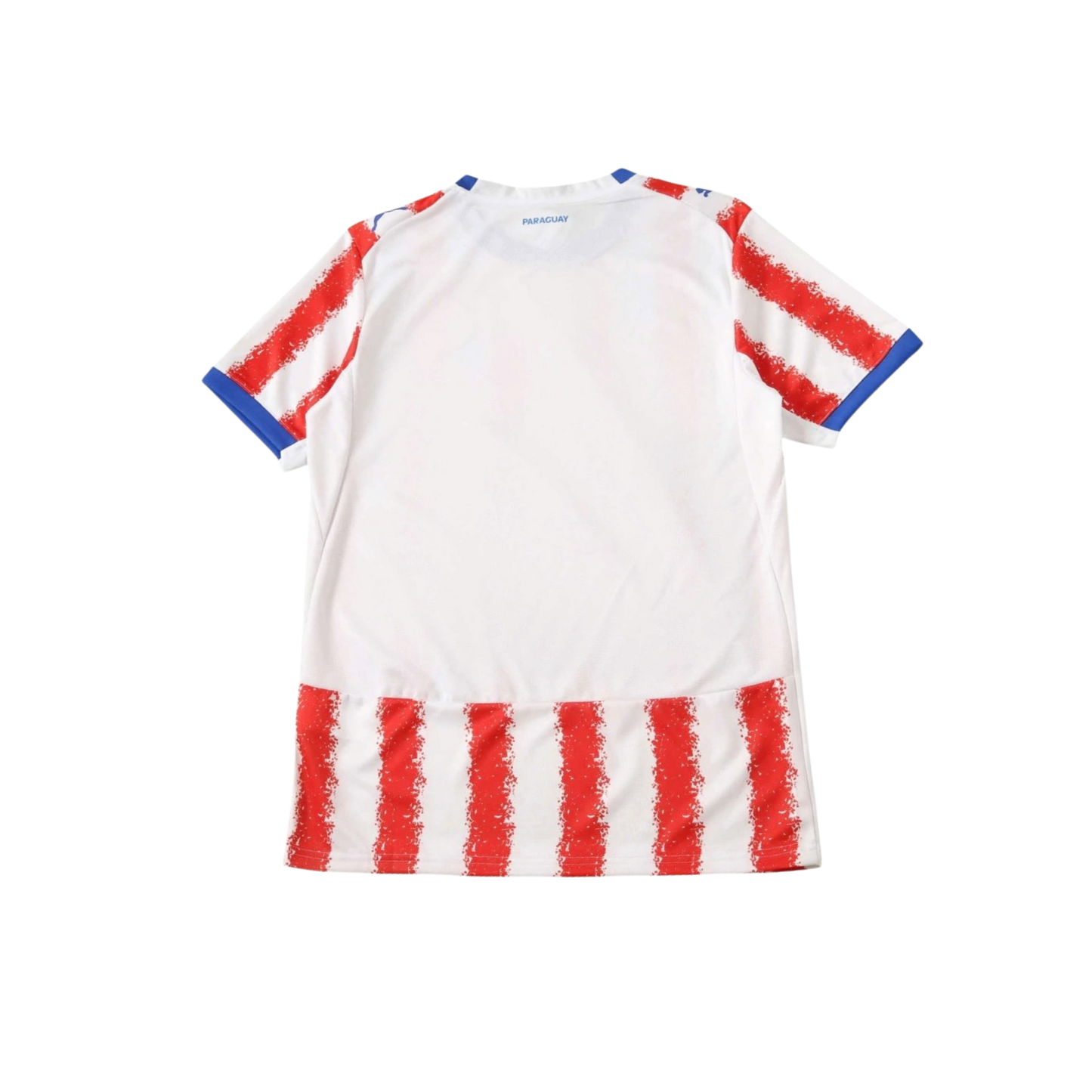 Paraguay 2026/2027 Fan Version