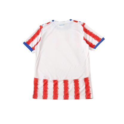 Paraguay 2026/2027 Fan Version