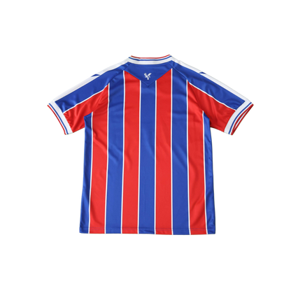Camiseta Crystal Palace 25/26