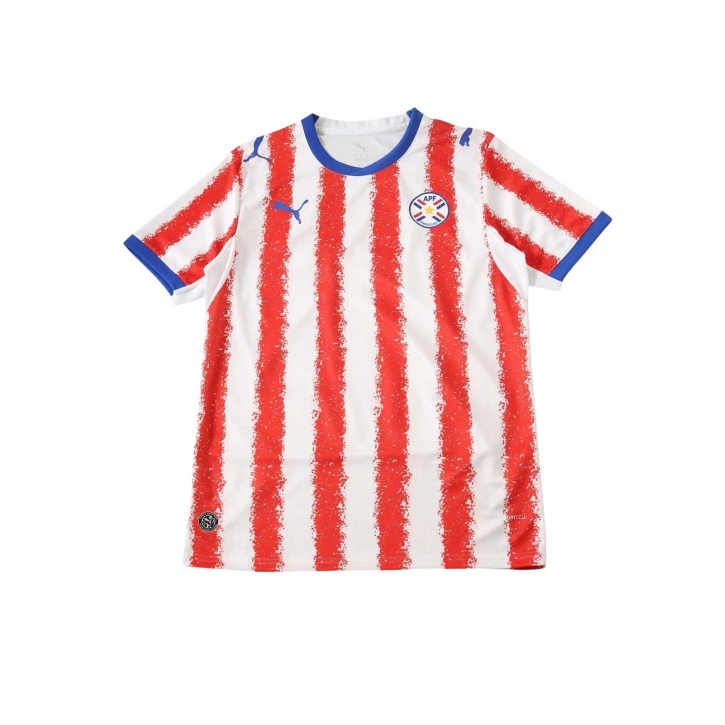 Paraguay 2026/2027 Fan Version