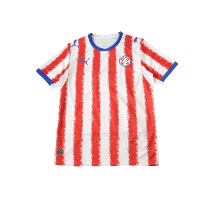 Paraguay 2026/2027 Fan Version