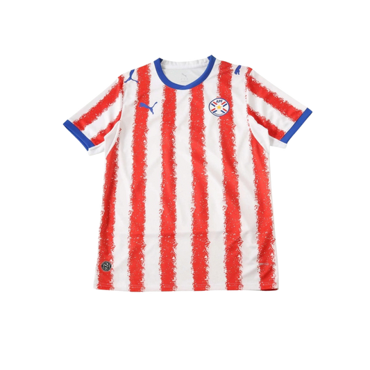Paraguay 2026/2027 Fan Version
