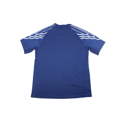 PSG 24/25 Shirt