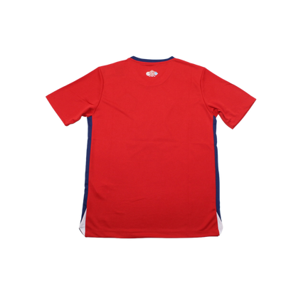 Lille 24/25 Shirt