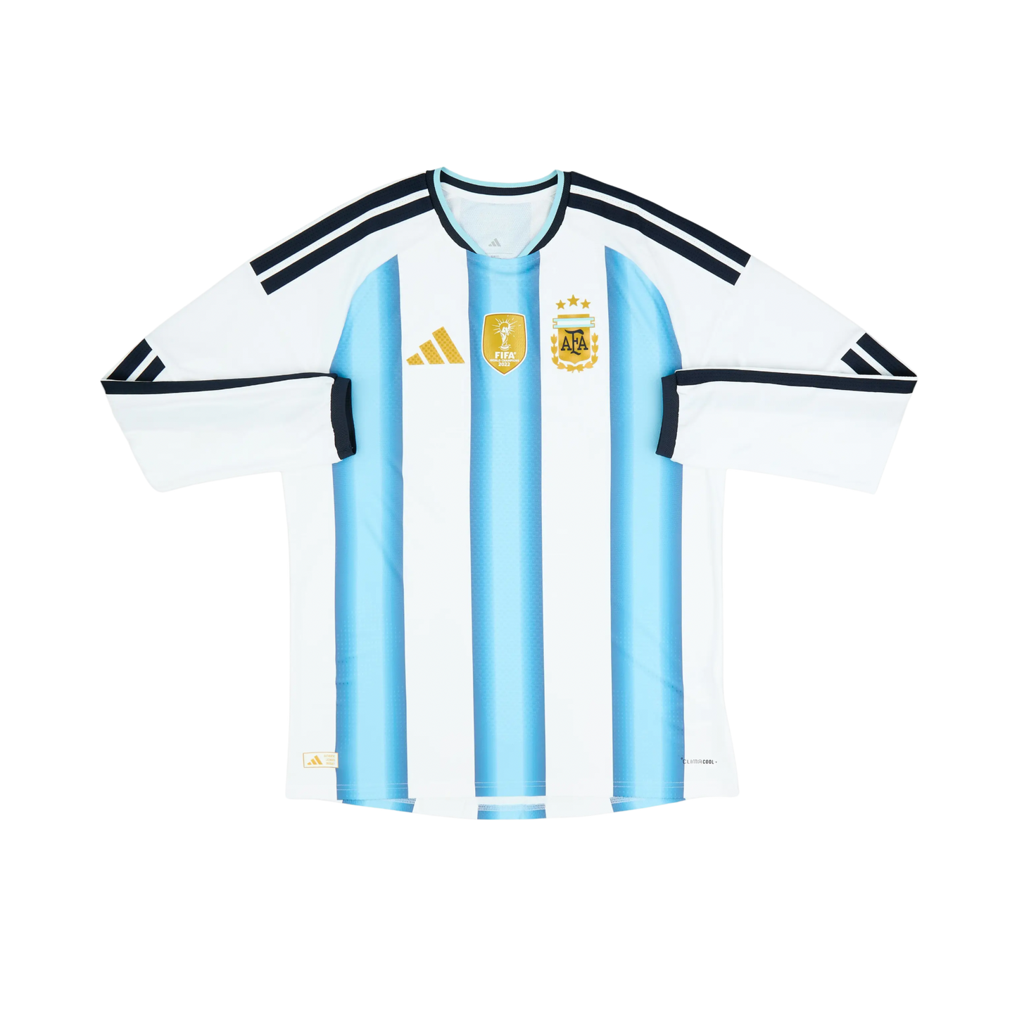 Argentina 2026/2027 Player Version