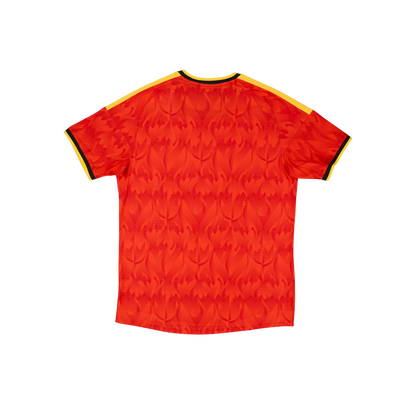 Bélgica 2026/2027 Player Version