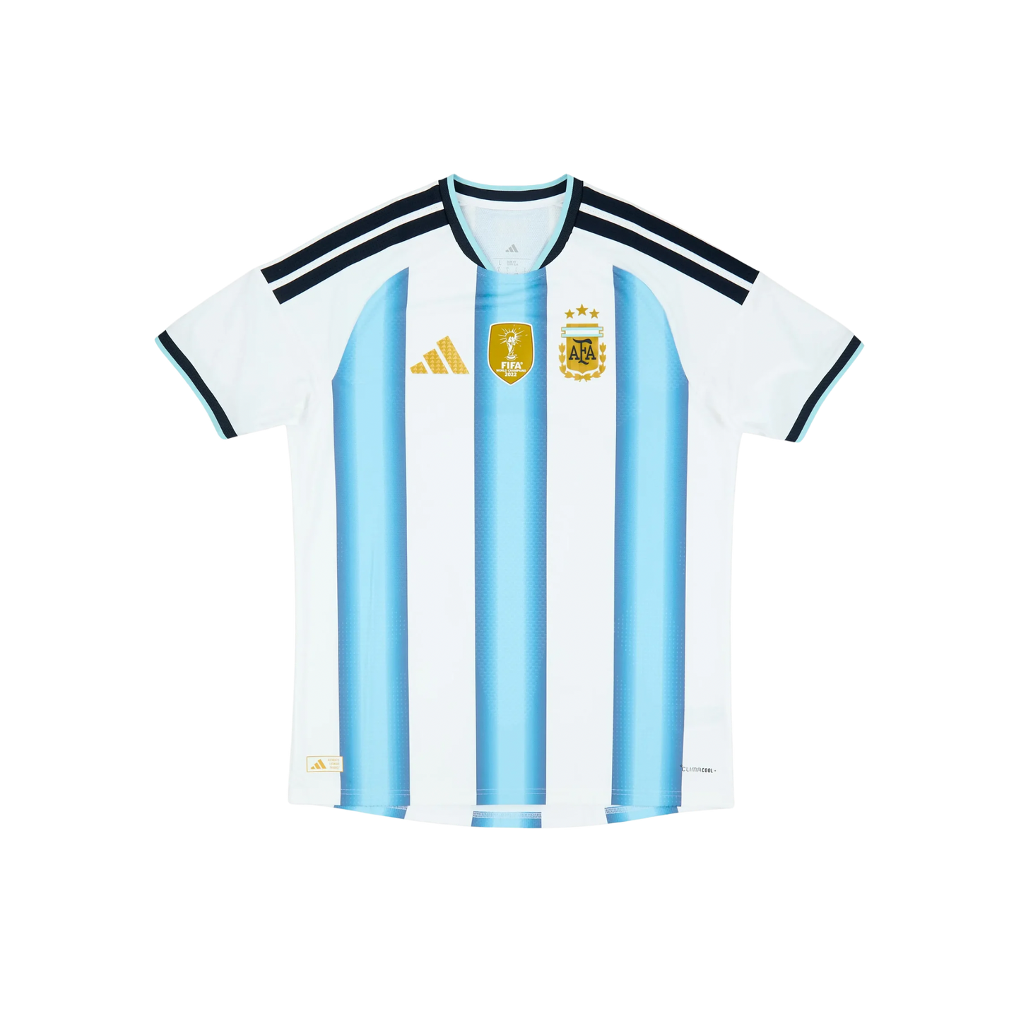 Argentina 2026/2027 Player Version