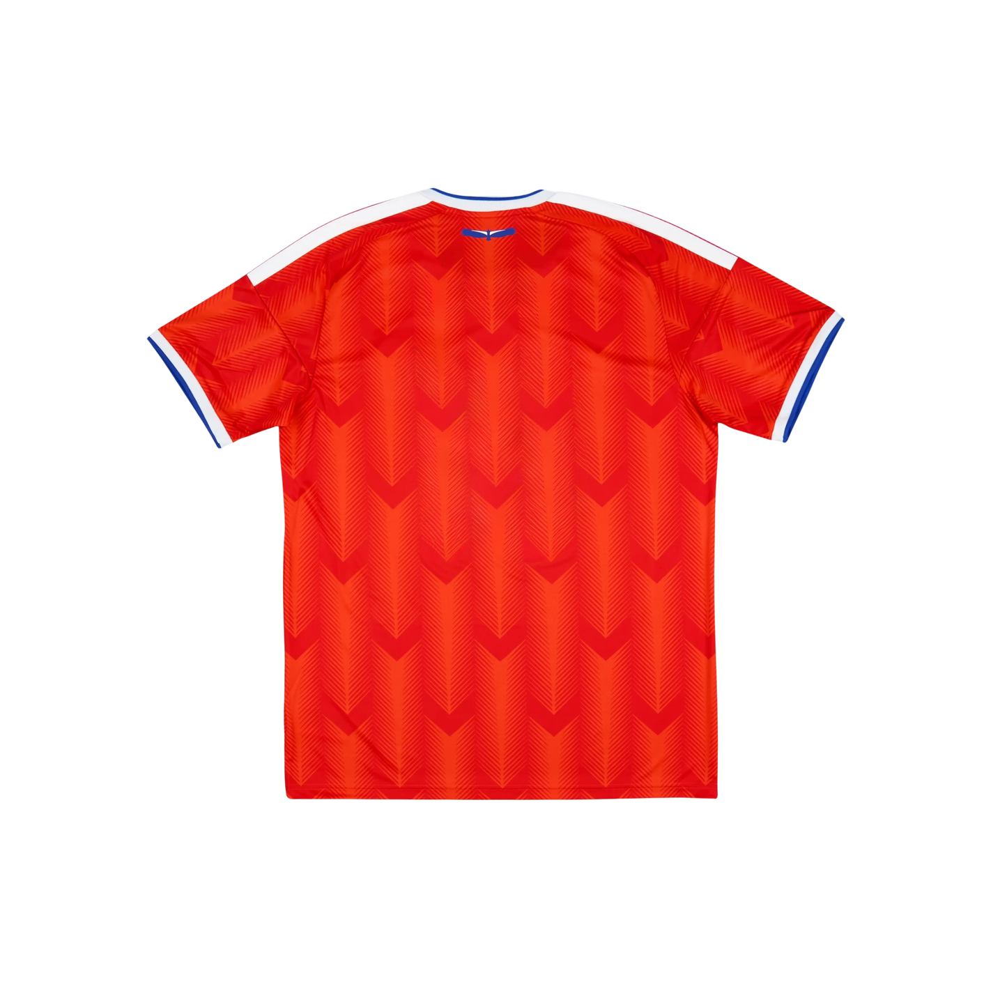 Chile 2026/2027 Fan Version